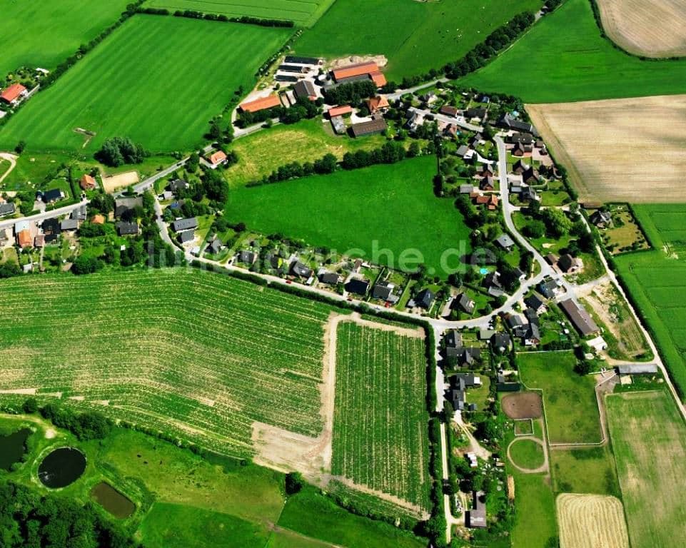 Wentorf (Amt Sandesneben)