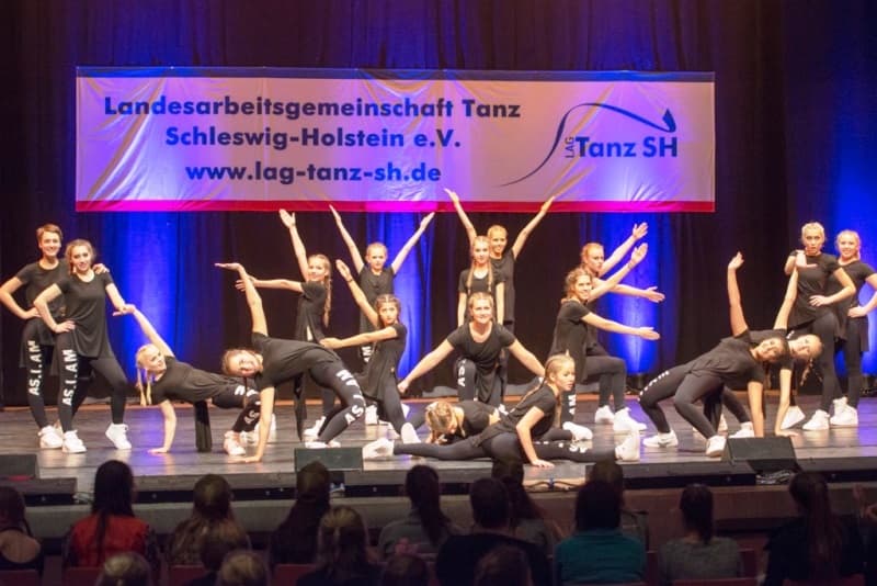 Landesarbeitsgemeinschaft Tanz Schleswig-Holstein e. V.