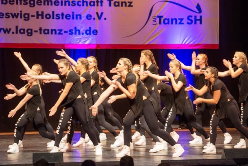 Landesarbeitsgemeinschaft Tanz Schleswig-Holstein e. V.