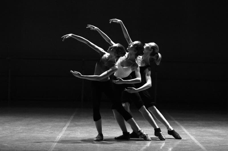 Modern Dance Zeitgenössicher Tanz Contemporary Dance Jazz Ballett Yoga für Erwachsene Kurse Unterricht Tanz Yoga Frankfurt